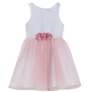 RARE EDITIONS Little Girls Mesh Glitter Skirt Dress with Flower Detailing